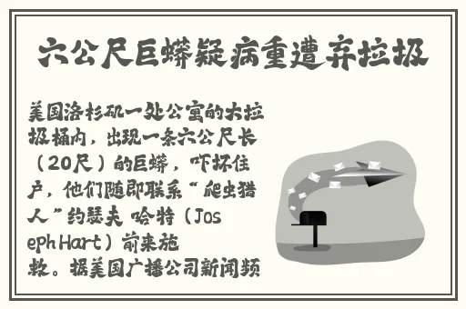 无忧传媒剧国产剧情MV蘑菇